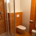 24 Lipno 아파트 *