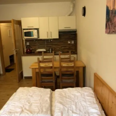 24 Lipno Apartment Lipno nad Vltavou
