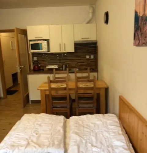 24 Lipno Apartment Lipno nad Vltavou
